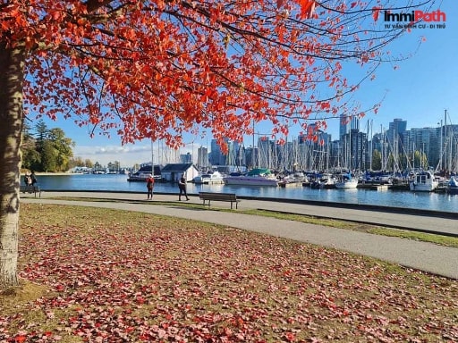Thành phố Vancouver - ImmiPath