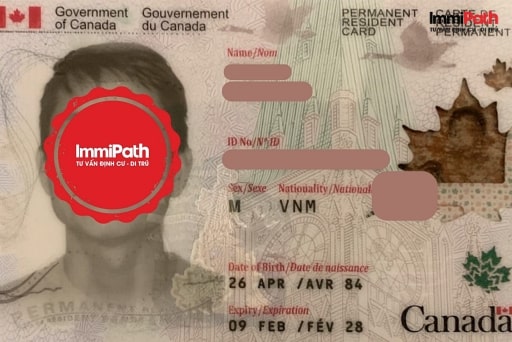 Tư vấn định cư Canada lừa đảo - ImmiPath